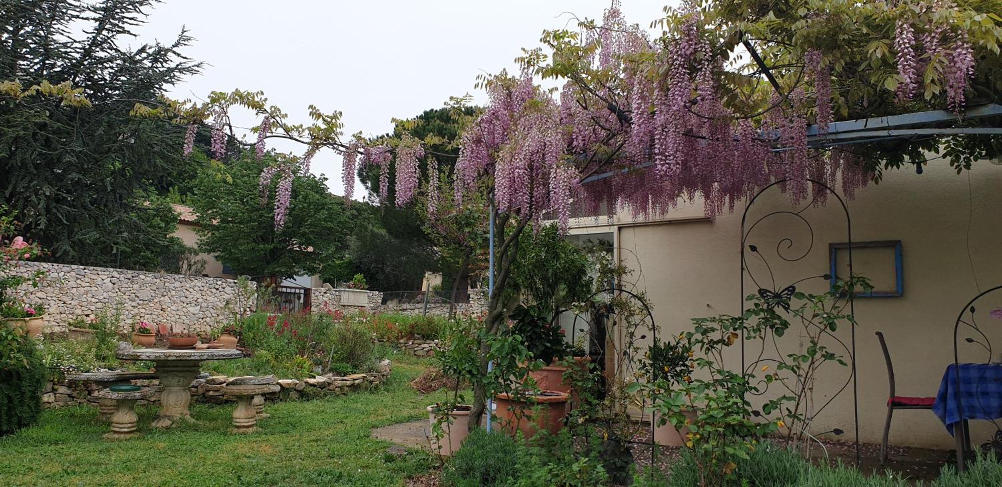 Pause Couleur Lavandula Roussas Exterior foto