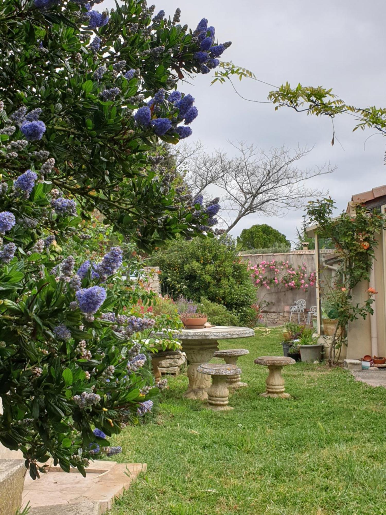 Pause Couleur Lavandula Roussas Exterior foto